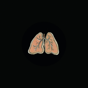 Obedear album cover