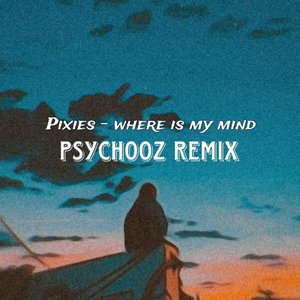 Where Is My Mind
