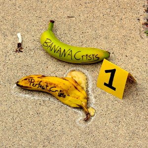 Perfect Crime