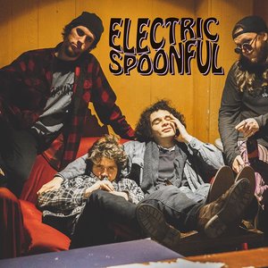 Avatar for Electric Spoonful