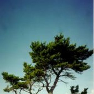 Avatar for Plastic By Nature