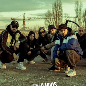 Awatar dla Stradavarius