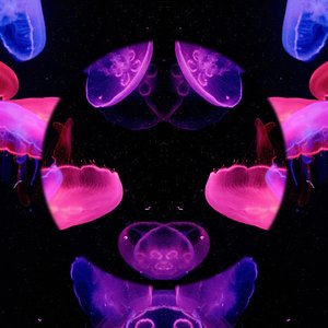 Avatar for Massage Therapy Music