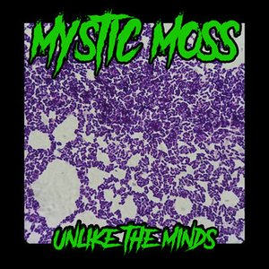 Unlike The Minds