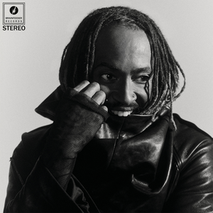 Distracted album cover