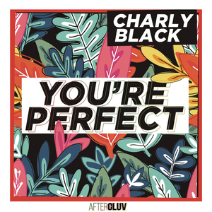 Artwork for You're Perfect