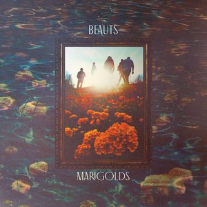 Marigolds