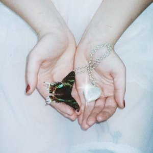 Wings of a Butterfly