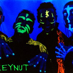 Avatar for Monkeynut