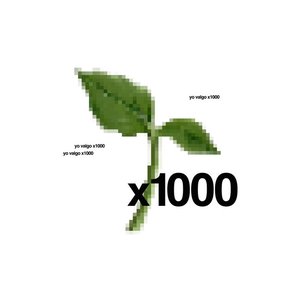 x1000