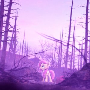 Canopy