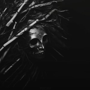 Avatar for VEDMY
