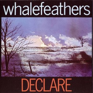 Declare