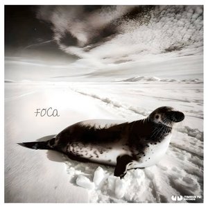 foca