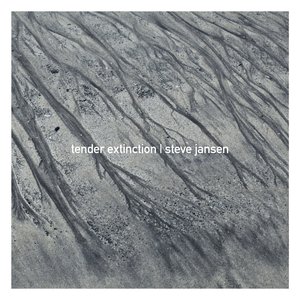 Tender Extinction