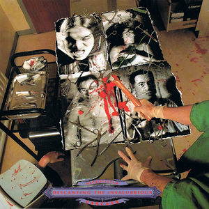 Necroticism - Descanting the Insalubrious by Carcass