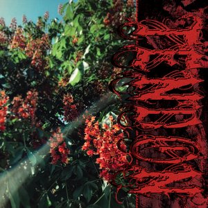 Tendon - EP