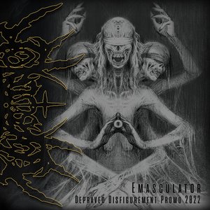 Depraved Disfigurement Promo 2022