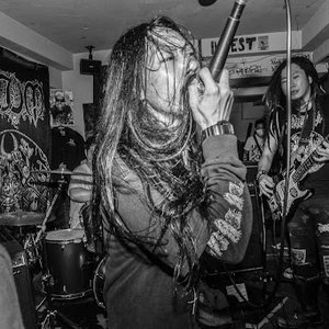 Avatar for Asocial Terror Fabrication