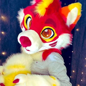 Avatar for furry asmr