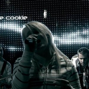 Avatar for Save The Cookie