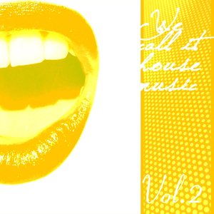 We Call It House Music, Vol. 2