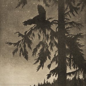 Where at Night the Wood Grouse Plays