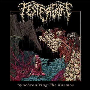 Synchronizing the Kozmos