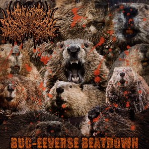 BUC-EEVERSE BEATDOWN