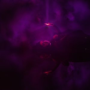 Circles / Save Me