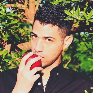Avatar for Leo Von Sol
