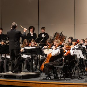 Avatar for The Intermezzo Orchestra