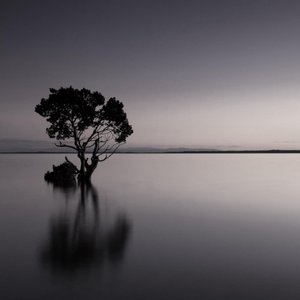Smooth Waters