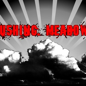 Avatar for Flushing Meadows