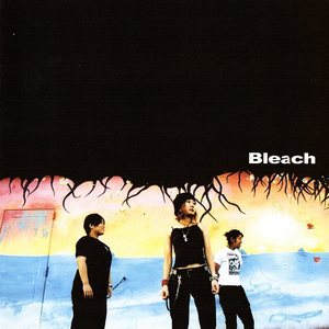Bleach