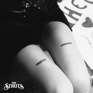 Artwork for Pretty Vicious