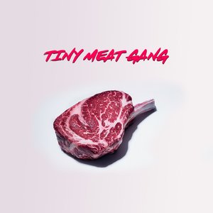 Avatar for The Tiny Meat Gang Podcast
