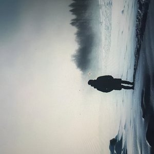 Frozen Moods