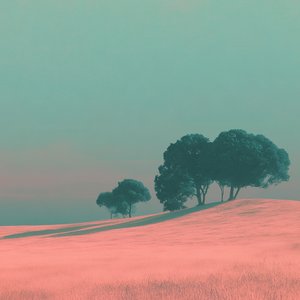 Where the Light Rests