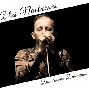Ailes nocturnes