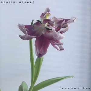 Прости, прощай - EP