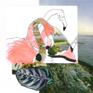 Avatar for Flamingo Flat