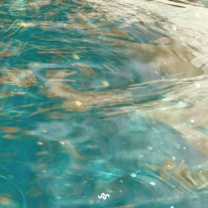 Entering the Ocean