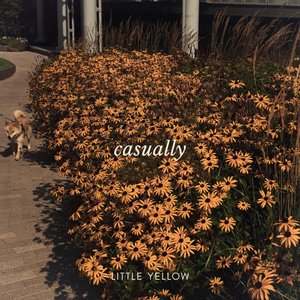 Little Yellow