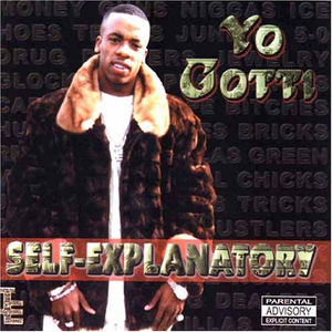 Self Explanatory album cover
