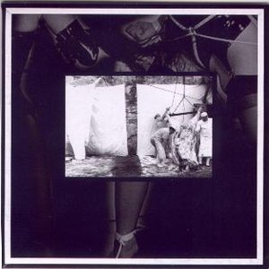 Avatar for Jim O'Rourke & Fred Lonberg-Holm & Weasel Walter
