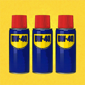 DW40 album cover