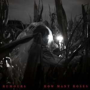 How Many Roses - EP