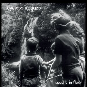 Caught in Flux