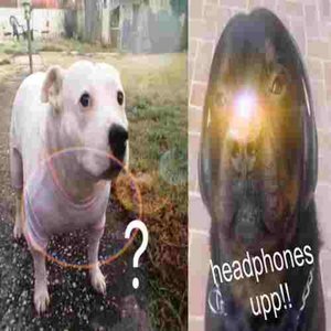 headphones up!